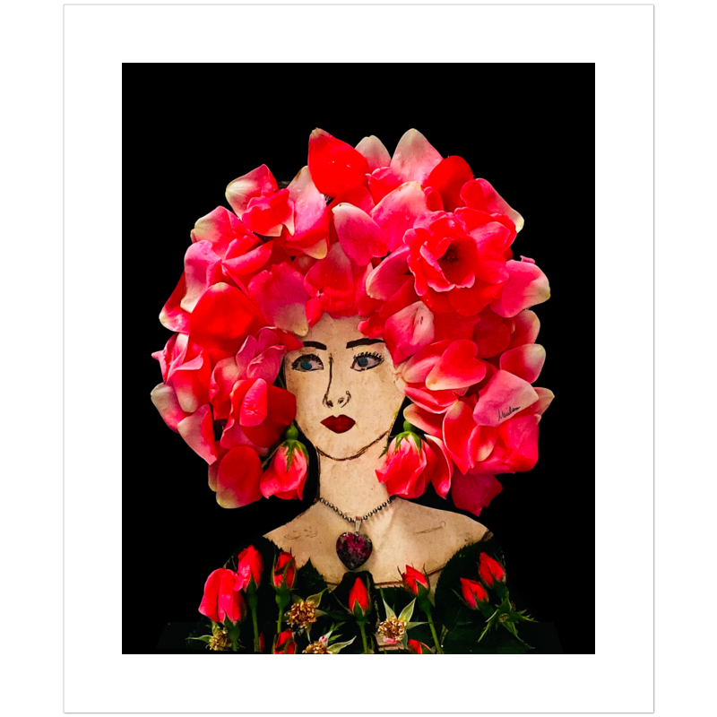 Dewey Rose Fine Art Print - Rectangle Unframed