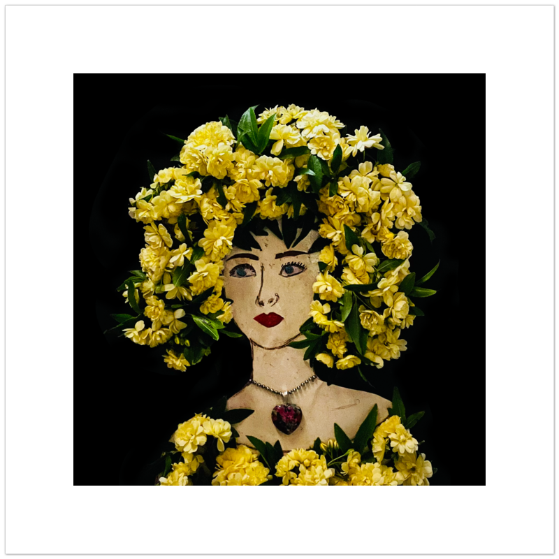 Lady Banks Fine Art Print - Square Unframed