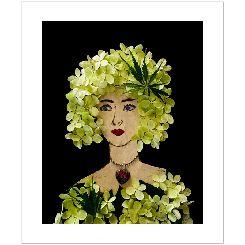 Panicle Hydrangea Fine Art Print - Rectangle Unframed
