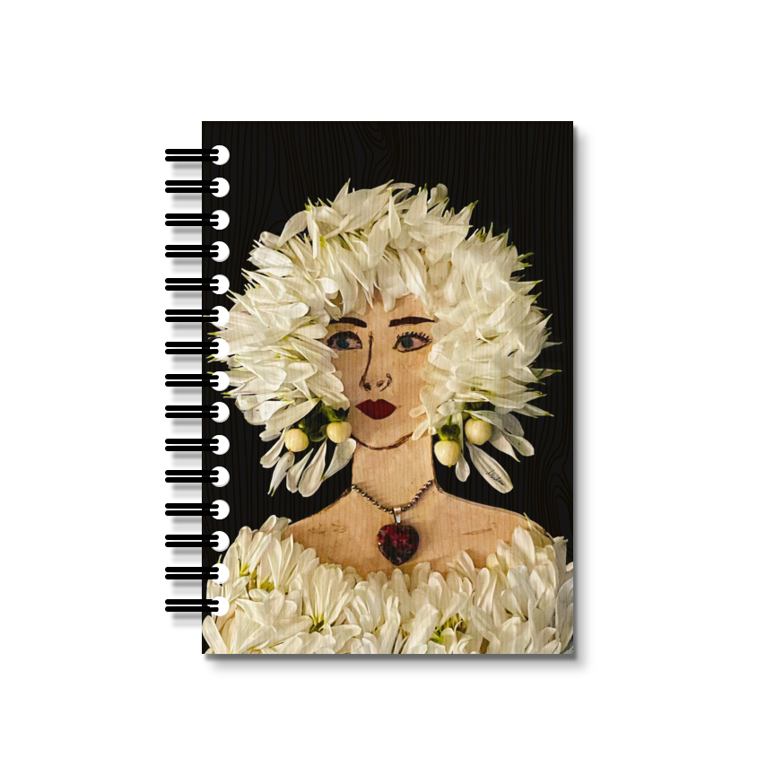 Aster Notebook