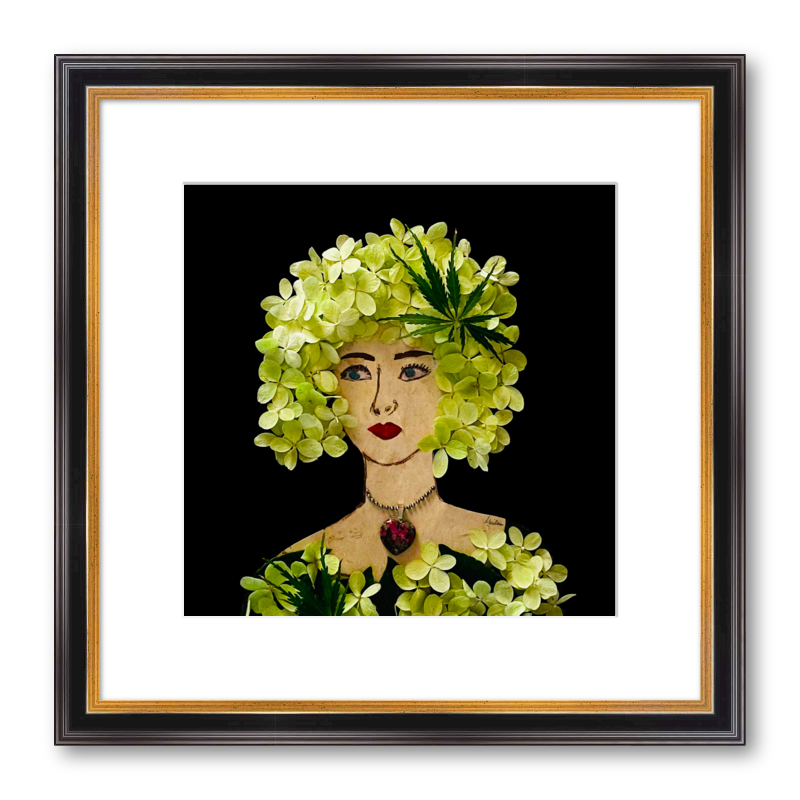Panicle Hydrangea Fine Art Print - Square Academie Frame