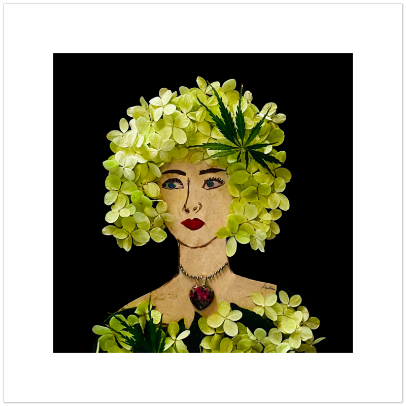Panicle Hydrangea Fine Art Print - Square Unframed